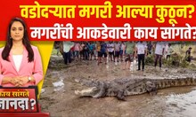 Special Report | Vishwamitri River : विश्वमित्री नदी कशी बनली मगरींचं घर? | Kay Sangte Dnyanada