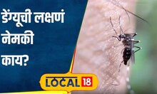 Dengue Symptom पावसाळ्यात वाढतायेत डेंग्यूचे रुग्ण, आताच जाणून घ्या लक्षणं आणि उपाय #local18