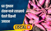 Agriculture 60 गुंठ्यात घेतलं साडेसहा लाख रुपयांचं उत्पन्न, कशी केली रताळाची यशस्वी शेती?#local18