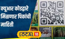 Agriculture News कामाची बातमी! शेतकऱ्यांनो, आता क्यूआर कोड स्कॅन करून मिळवा पिकांची माहिती #local18