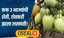 Agriculture: फक्त तीनच पिकांतून जालन्यातील शेतकरी मालामाल, भाजीपाला शेतीतून 7 लाखांचा नफा | #local18