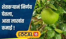 Agriculture: तुम्हीही होऊ शकता लखपती, शेतकऱ्यानं 3 एकरात घेतलं खास पीक, आज कमाई 7 लाखांची #local18