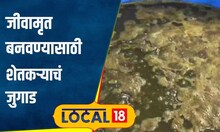 Agriculture: भरघोस उत्पन्नासाठी जीवामृत बनवताय? शेतकऱ्याचं हे जुगाड कामाचं, नक्की ट्राय करा #local18
