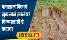 Pik Vima: शेतकऱ्यांसाठी महत्त्वाची बातमी! पावसानं पीक वाया गेलंय? विम्यासाठी हे कराच! | #local18