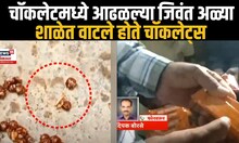 Chocolate Worms : चॉकलेटमध्ये आढळल्या जिवंत अळ्या, शाळेत वाटले होते चॉकलेट्स