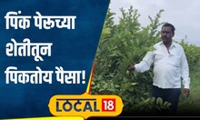 Agriculture: पत्नीची साथ, शेतकरी जोमात! जिथं उगवत होती फक्त मका, तिथं पिकतोय पैसा! | #local18