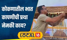 Konkan Rice '....नंतरच होते भात कापणीला सुरुवात', कोकणातील ही प्रथा नेमकी काय? #local18