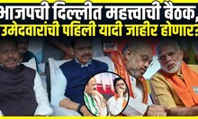 BJP Meeting On Vidhansabha | विधानसभा निवडणुकांच्या दृष्टीने भाजपची दिल्लीत महत्त्वाची बैठक