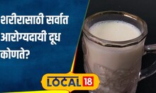 Milk And Human Health कोणतं दूध सर्वात जास्त आरोग्यदायी असतं, डॉक्टरांनी सांगितली माहिती #local18
