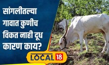 Ajab Gajab: सांगलीतल्या गावात कुणीच विकत नाहीत दूध! काहींनी प्रयत्न केला, पण अंगलट आला! | #local18