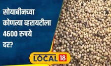 Soyabean Rate सोयाबीनची आवक घटली तरी दर स्थिर, मात्र जालन्यात या व्हरायटीला 4600 रुपये दर #local18