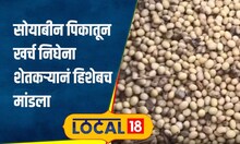 सोयाबीन खर्च आणि उत्पन्नाचा ताळमेळ बसेना, शेतकऱ्यानं हिशोबच मांडला, हाती उरला फक्त भोपळा #local18