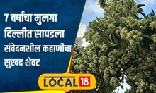 Herbal Plants: मलेरियाच नव्हे तर सर्पदंशावरही रामबाण, संभाजीनगरमध्ये बहरली दुर्मिळ वनस्पती #local18