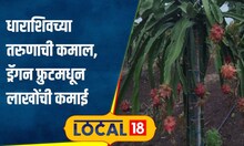 Success Story शिक्षण BCS, पण निवडली शेती, एक एकर ड्रॅगन फ्रुटमधून 6 लाखांची कमाई #local18