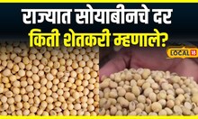 Soyabean Rate Updates : दिवाळीत सोयाबीनचे भाव किती? शेतकऱ्यांने सांगितली हकिकत | Local 18