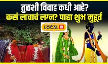 Tulsi Vivah 2024 Date: तुळशी विवाह कधी आहे? कसं लावावं लग्न? पाहा शुभ मुहूर्त