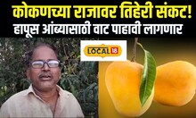 Konkan Hapus:  कोकणच्या राजावर तिहेरी संकट! हापूस आंब्यासाठी वाट पाहावी लागणार #Local18