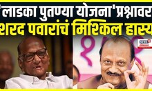 Sharad Pawar On Ajit Pawar: अजित पवार यांच्या प्रश्नावर मिश्किल हास्य Baramati Vidhan Sabha