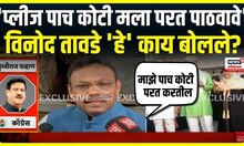 Vinod Tawde: मी काय ऐवढा मुर्ख वाटलो, तावडेंचं खोचक प्रत्यूत्तर | Maharashtra Voting