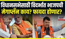 Vidarbha Exit Poll | विदर्भातील टफ फाईट कुठल्या?, जास्त जागा कोणाच्या येणार? | Maharashtra Election