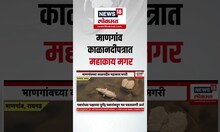 Mangaon Crocodile News । माणगांव काळानदीपत्रात महाकाय मगर
