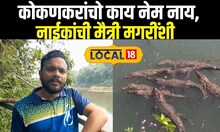 Naik Family For Crocodiles: कोकणकरांचो काय नेम नाय, नाईकांची मैत्री मगरींशी News18local
