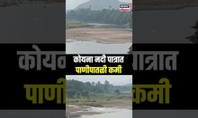 Koyna River News: कोयना नदीपात्रात पाणीपातळी कमी N18S