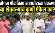 Bogus Pik Vima Scam Jalna: जालना जिल्ह्यात 7 हजार शेतकऱ्यांनी काढला बोगस पीकविमा