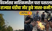 Maharashtra Weather Updates: विदर्भासह नाशिकमधील पारा घसरला,  राज्यात थंडीचा जोर कुठे जास्त-कमी?
