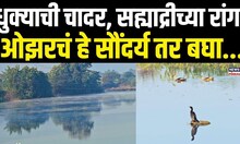 Junnar In Winter Season: महाराष्ट्र थंडीने गारठला, ओझरचं हे सुंदर दृश्य बघा...