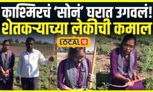 Jalna Ghansawangi News: शेतकऱ्यांसाठी फायदेशीर 'शिवकाठी' Shiv Kathi Local 18