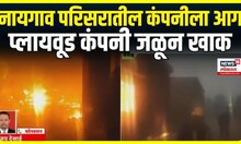 Vasai Naigaon Fire News: नायगाव परिसरातील कंपनीला आग,प्लायवूड कंपनी जळून खाक
