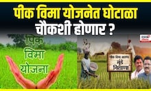 Crop Insurance Scam । राज्यात पीक विमा योजनेत घोटाळा, मुख्यमंत्री फडणवीस काय म्हणाले ?