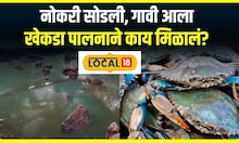 Crab Business : नोकरी सोडली, गावी येऊन केले खेकडा पालन, वर्षांला आता 6 लाखांचा नफा #local18