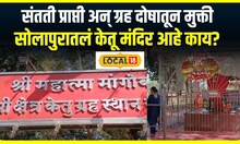 Solapur Ketu Temple :संतती प्राप्ती अन् ग्रह दोषातून मुक्ती, सोलापुरातील मंदिरात होते गर्दी #local18