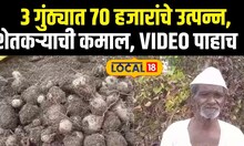 Jalna Farmer News: 3 गुंठ्यात 70 हजारांचे उत्पन्न, शेतकऱ्याची कमाल, VIDEO पाहाच News18local