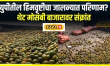 UP Market :युपीतील हिमवृष्टीची जालन्यात मोसंबी बाजारावर संक्रांत, 8 दिवस मार्केट राहणार बंद #local18
