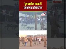 Pune Army Exhibition Robot Dogs Show: पुण्यातील लष्करी प्रदर्शनात रोबोडॉग्स N18S