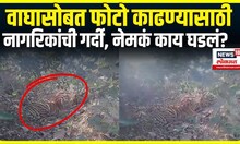 Bhandara News: भंडाऱ्यात झुडपात अडकलेल्या वाघाला नागरिकांनी घेरलं N18V