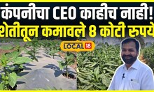 Sangli Farmer Success Story |कंपनीचा CEO काहीच नाही!, शेतकऱ्याने कमावले 8 कोटी रुपये #Local18