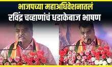 Shirdi BJP Mahaadhiveshan : शिर्डीतून भाजपचं महाअधिवेशन, 'कार्यकर्ता म्हणून काम करत असताना..'