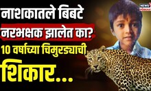 Leaopard Attack Nashik :  कुत्र्यांना शिकार बनवणारा बिबट्या माणसांना कसा शिकार समजायला लागलाा?