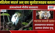 Bhandara Tiger Attack: वाघाच्या हल्ल्यात ग्रामस्थ ठार होण्याची दुसरी घटना, भीतीचं वातावरण!