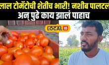 Beed Tomato Farming: लाल टोमॅटोची शेतीच भारी! नशीब पालटलं अन् पुढे काय झालं पाहाच Local18