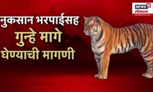 Bhandara Tiger Attack Case । वाघाच्या हल्ल्यात महिला दगावली, वाघ जेरबंद, पण ग्रामस्थ आक्रमक