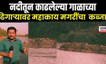 Ratnagiri News | जगबुडी नदीतून काढलेल्या गाळाच्या ढिगाऱ्यावर महाकाय मगरींचा कब्जा N18V