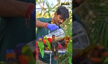 A Mission To Protect The Voiceless, Shaping The Future Of Wildlife Conservation! Prani Mitra| News18