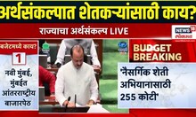 Ajit Pawar Budget 2025 :  अर्थसंकल्पात यंदा कृषी विभागाला मिळणार काय? Maharashtra Budget Session