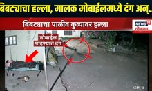 Bhor leopard Attack |  बिबट्याचा हल्ला, मालक मोबाईलमध्ये दंग अन्...; पुढे काय झालं पाहा...
