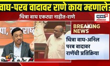 Narayan Rane On Chitra Wagh: "चित्रा वाघ एकट्या नाहीत...", नारायण राणे नेमकं काय म्हणाले?